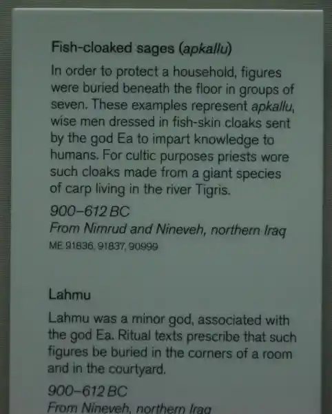 Fish-cloaked sages (apkallu)